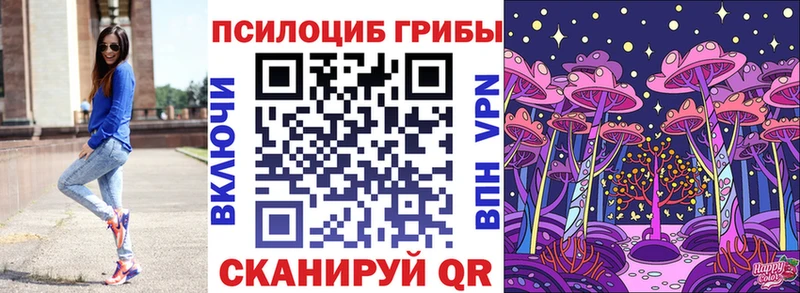 где можно купить наркотик  Воронеж  Псилоцибиновые грибы GOLDEN TEACHER 